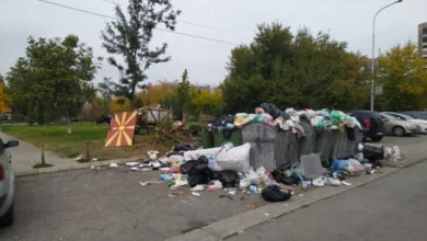 Photo of Левица: Два дена по избори – тони ѓубре во Ново Лисиче