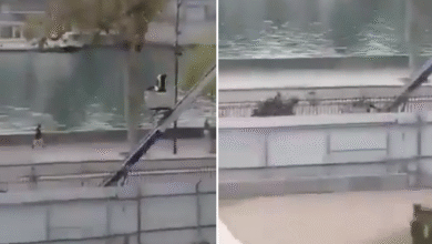 Photo of (ВИДЕО) Еве како побегнаа крадците од Лувр, се појави нова снимка