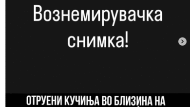 Photo of (Видео) Итна истрага по масакрот во Кичево: „Општината молчи, како да е нормално да се живее меѓу отров и оружје“