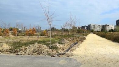 Photo of (ВИДЕО) СДСМ: Парк наместо облакодери и бетон од „Александар Палас“ до бунарите на Водовод кај Карпош 4