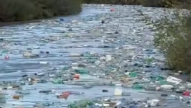 Photo of МЖСПП: Пластичниот отпад во Вардар е поради незадоволителното ниво на комунални услуги од страна на операторите