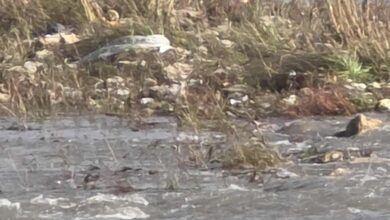 Photo of (ФОТО) Вардар преполн со ѓубре – мини депонии долж реката, отпадот плови низ Скопје