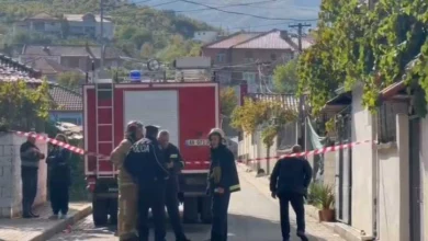 Photo of Во пожар во Малиќ, Албанија загинаа мајка и син, шестгодишно дете се бори за живот