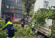 Photo of Општина Центар: ПОЦ и „Паркови и зеленило” ги отстрануваат двете паднати дрвја во близина на училиштето Киро Глигоров