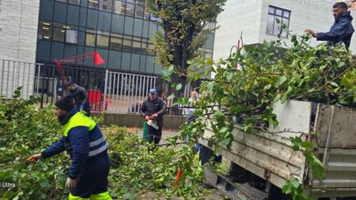 Photo of Општина Центар: ПОЦ и „Паркови и зеленило” ги отстрануваат двете паднати дрвја во близина на училиштето Киро Глигоров