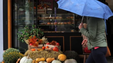 Photo of Променливо облачно со повремен дожд, температура до 17 степени