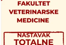 Photo of Факултетот за ветеринарна медицина во Белград почнува со целосна блокада