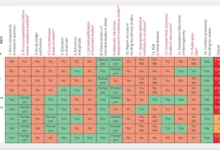 Photo of Бритиш Медикал Џурнал: Доказите „не покажуваат јасна поврзаност“ меѓу парацетамолот, аутизмот и АДХД