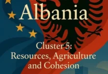 Photo of На 17 ноември меѓувладина конференција Албанија и ЕУ