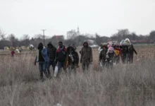 Photo of Откриени два импровизирани кампови во кои се криумчареле мигранти, групата е сузбиена и поднесени се кривични пријави