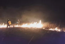 Photo of Пожари во пехчевските села Чифлик и Црник