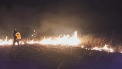 Photo of Пожари во пехчевските села Чифлик и Црник