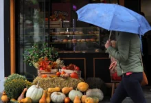 Photo of Најмногу дожд во Претор и Крушево, од недела опаѓање на температурите и снег на планините