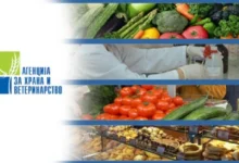 Photo of АХВ со препораки за безбедност на храната, видата за пиење и за заштита на животните во регионите каде има поплавување