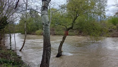 Photo of ЦУК: Од обилните дождови поплавени домови, земјоделски површини, патишта,… во делови од државава