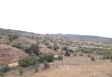 Photo of Неовластено влегол во Воениот полигон „Криволак“, приведен жител на Црвени Брегови