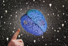 Photo of Научно истражување: Четири клучни возрасти за мозокот