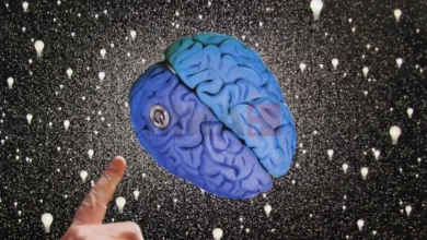 Photo of Научно истражување: Четири клучни возрасти за мозокот