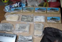 Photo of Полицијата во Белград заплени 12 килограми кокаин