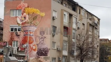 Photo of Во Битола промовиран мурал на уметник од Австралија