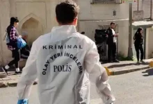 Photo of Стеници и смрт: трагедија во хотел во Турција