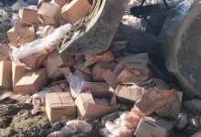 Photo of АХВ спречи увоз на над 20 тони небезбеден помфрит