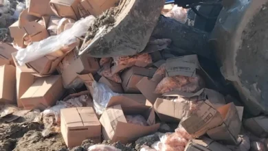 Photo of АХВ спречи увоз на над 20 тони небезбеден помфрит