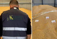 Photo of Албанските власти блокираа 75 тони пченка увезена од Србија