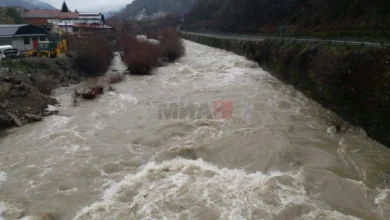 Photo of Водостоите на реките значително над ноемврискиот просек – рекордни зголемувања кај Треска и Сатеска
