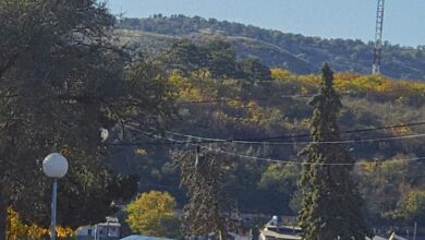 Photo of Видео: Во Кочани како да има војна, не избори – Врие од полиција!