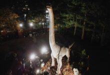 Photo of Левица: Јорданов се пишмани – Општина Штип ќе го продаде Дино паркот од 800.000 евра на приватен бизнисмен