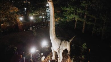 Photo of Левица: Јорданов се пишмани – Општина Штип ќе го продаде Дино паркот од 800.000 евра на приватен бизнисмен