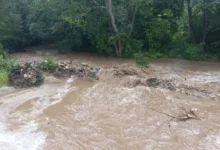 Photo of Зголемени нивоата на реките, Треска речиси осум пати над ноемврискиот просек