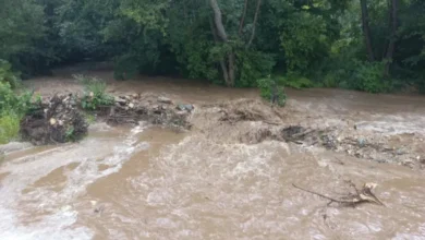 Photo of Зголемени нивоата на реките, Треска речиси осум пати над ноемврискиот просек
