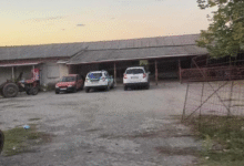 Photo of (Фото) Службено возило на „Македонски шуми“ пред штаб на политичка партија во валандовско Брајковци