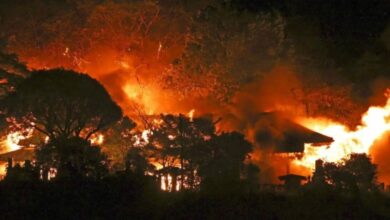 Photo of Пожар во густо населена област во Јапонија: Едно загинато лице, уништени над 170 домови