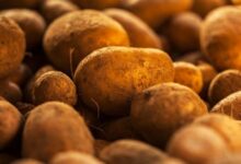 Photo of Четворица струмичани украле 160 вреќи компир од камион сопственост на жител од тетовско