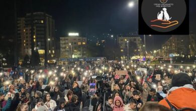 Photo of Протест во Софија по убиството на кучето од македонскиот доктор