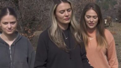 Photo of (ВИДЕО) Русокоса газдарица дели боксови во кал – Ескалира ,,Кравјата криза” во Крива Паланка. Ќе ја заузда ли некој привилегираната “убавица“