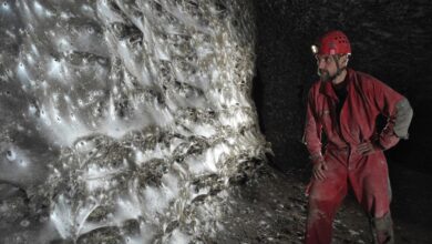 Photo of Најголемата пајажина во светот откриена во балканска пештера. „Ова е неверојатн
