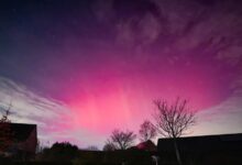 Photo of Розова поларна светлина на небото над северна Белгија и Холандија