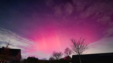 Photo of Розова поларна светлина на небото над северна Белгија и Холандија