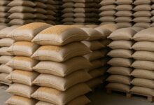 Photo of Ова се петте лица кои утрово се уапсени во акцијата на ОЈО и полицијата. Меѓу уапсените и екс зам. министерот Трајан Димковски