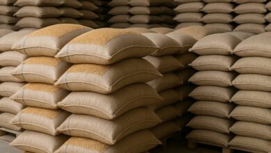 Photo of Ова се петте лица кои утрово се уапсени во акцијата на ОЈО и полицијата. Меѓу уапсените и екс зам. министерот Трајан Димковски