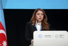 Photo of Украинската министерка за енергетика, Гринчук поднесе оставка