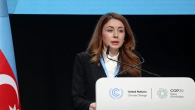 Photo of Украинската министерка за енергетика, Гринчук поднесе оставка