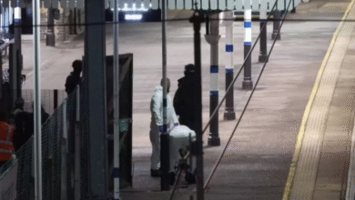 Photo of Видео: Десет лица избодени со нож во воз во Британија, две лица уапсени