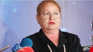 Photo of Глувци имаше насекаде, не само во студентските домови – вели Јаневска по појавата на глодари во „Пелагонија“