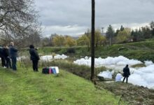 Photo of МИСТЕРИОЗНАТА БЕЛА ПЕНА ОД ВАРДАР СЕ ПОЈАВИ И ВО ЗЕЛЕНИКОВО
