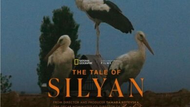 Photo of Агенцијата за филм издвојува 100.000 евра за „Оскар“ кампањата на документарецот „Приказната за Силјан“